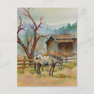 OLD BARN & APPALOOSA by SHARON SHARPE Postcard
