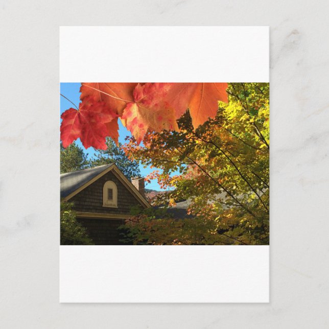 Old Barn Foliage Postcard (Front)