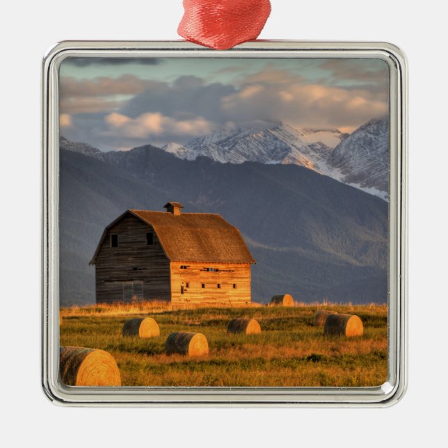 Old barn framed by hay bales and dramatic metal tree decoration (Front)