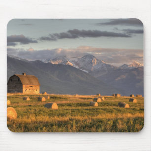 Old barn framed by hay bales and dramatic mouse mat