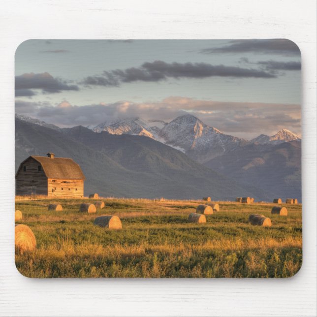 Old barn framed by hay bales and dramatic mouse mat (Front)