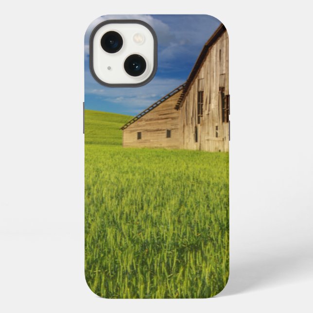 Old Barn in Field of Spring Wheat iPhone Case (Back)
