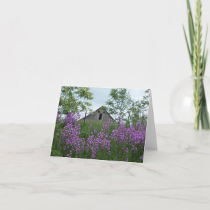 Old Barn Lookin' Back At Me Over Phlox Card
