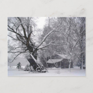 Old Barn & Oak Tree in Rural Winter Snow Photo Postcard