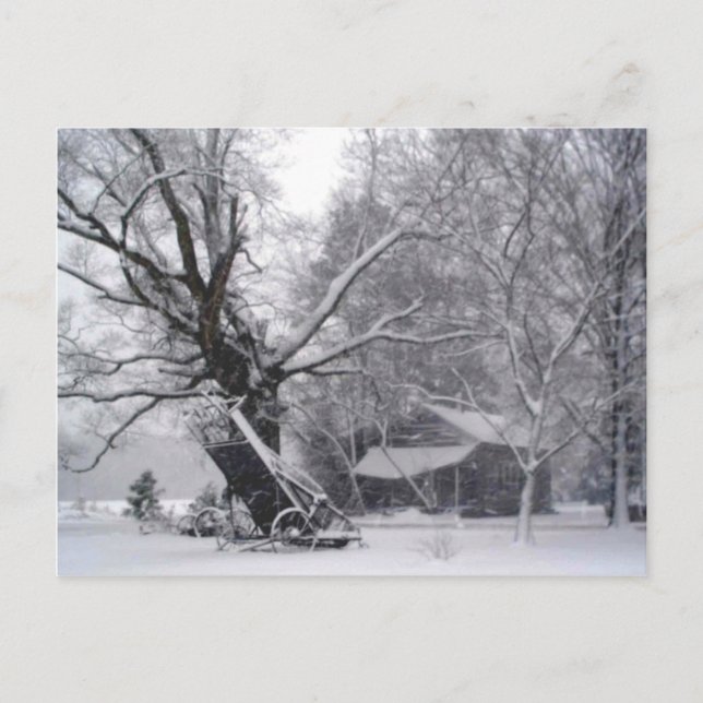 Old Barn & Oak Tree in Rural Winter Snow Photo Postcard (Front)