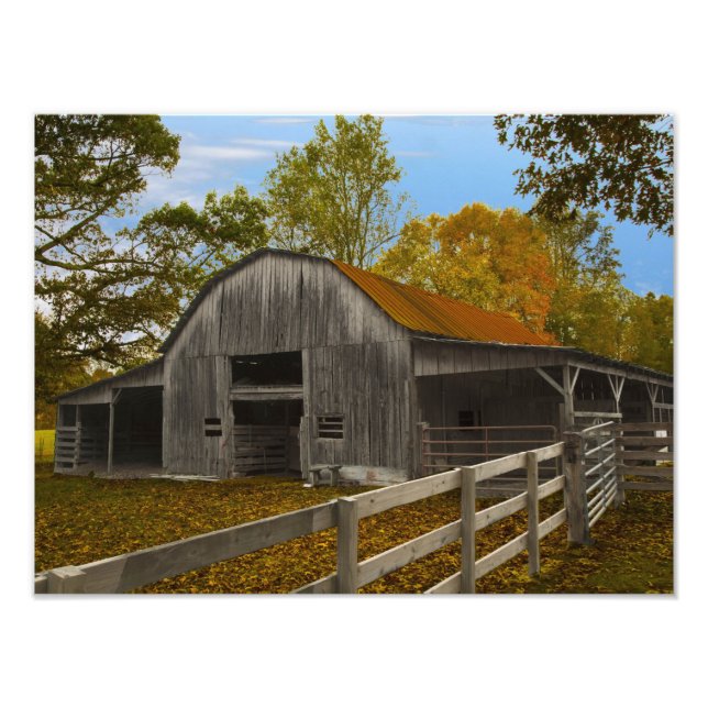 Old Barn Photo Print (Front)