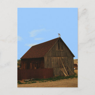 Old Barn Postcard