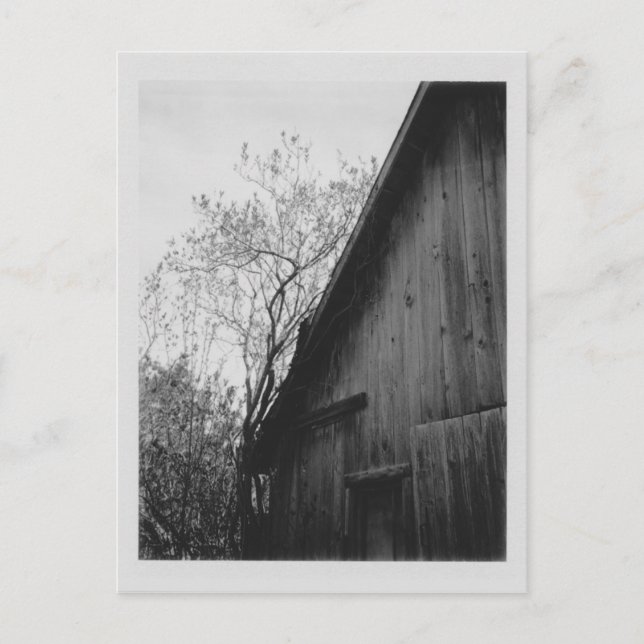 Old Barn Postcard (Front)