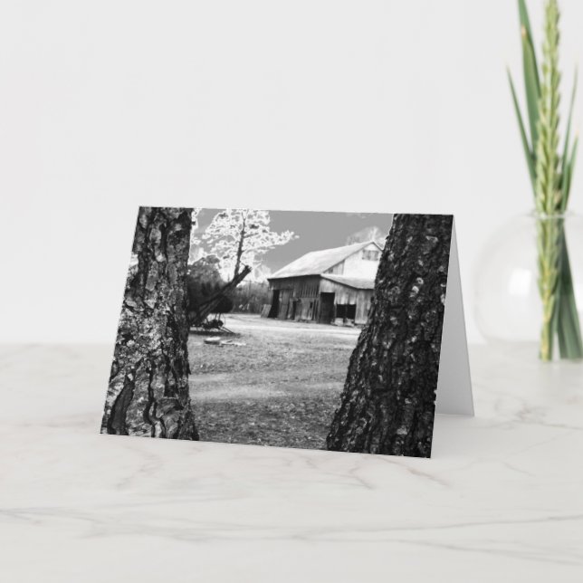 Old Barn Rural Barns Country Black & White Photo Card (Front)