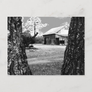 Old Barn Rural Barns Country Black & White Photo Postcard