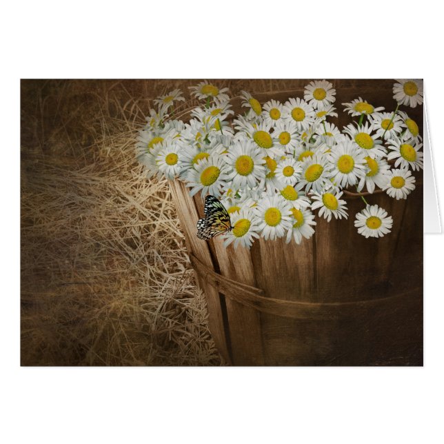 Old Basket (Front Horizontal)