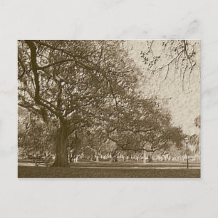 Old Battery Postcard