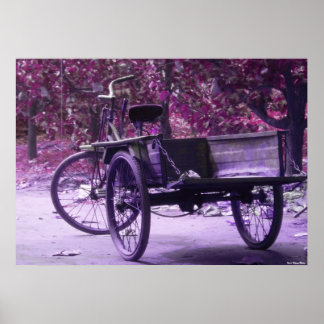 Old Bicycle Print