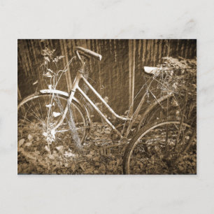 Old Bikes Postcard
