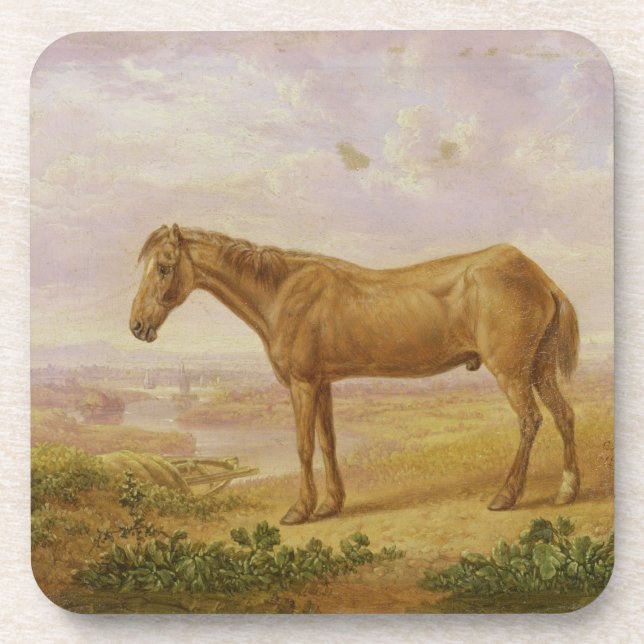 Old Billy, a Draught Horse, Aged 62 (oil on panel) Coaster (Front)