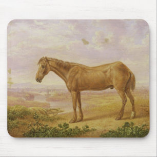 Old Billy, a Draught Horse, Aged 62 (oil on panel) Mouse Mat