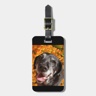 Old Black Labrador Luggage Tag
