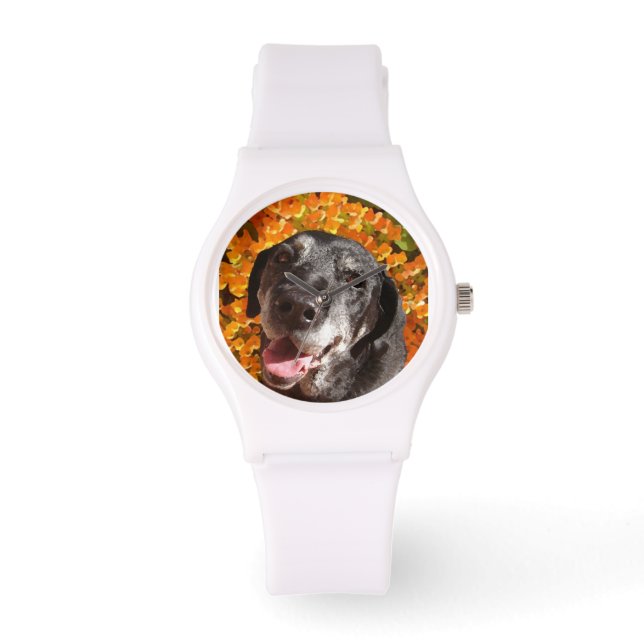 Old Black Labrador Watch (Front)