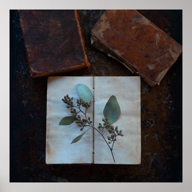 Old book pages with eucalyptus leaves poster (Front)