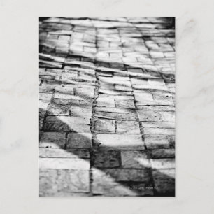 Old brick pathway postcard
