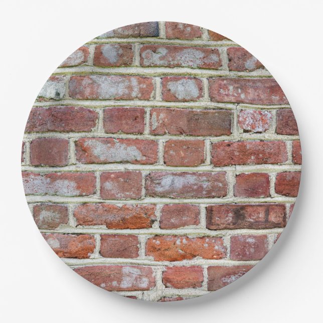 Old Brick Wall Paper Plate (Front)