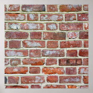 Old Brick Wall Poster