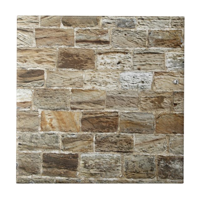Old brick wall tile (Front)