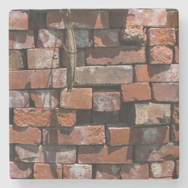 Old Bricks Abstract Stone Coaster (Front)