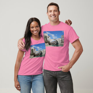 Old Bridge in Mostar T-Shirt