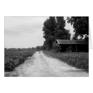 Old Building Barn in North Carolina