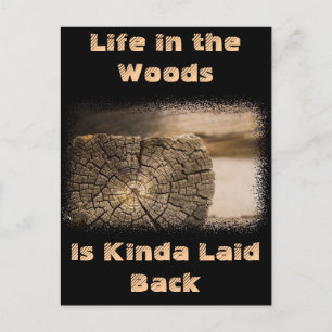 Old Cabin Textures Postcard