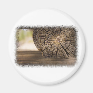 Old Cabin Wood Textures Magnet