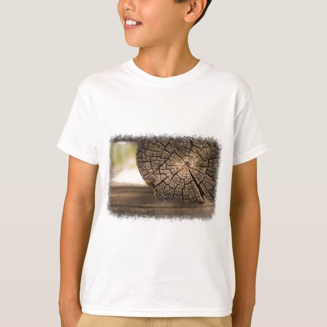 Old Cabin Wood Textures T-Shirt (Front)