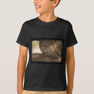 Old Cabin Wood Textures T-Shirt