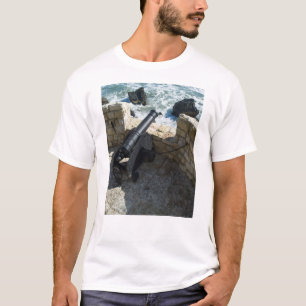 Old cannon T-Shirt