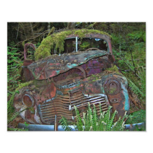 Old Car Wreck in the Forest Photo Print
