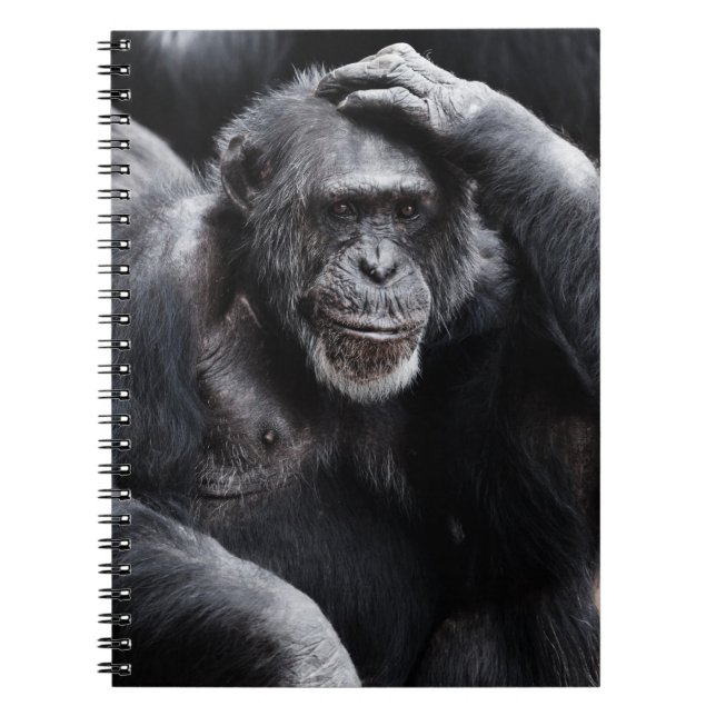 Old Chimpanzee notebook (Front)