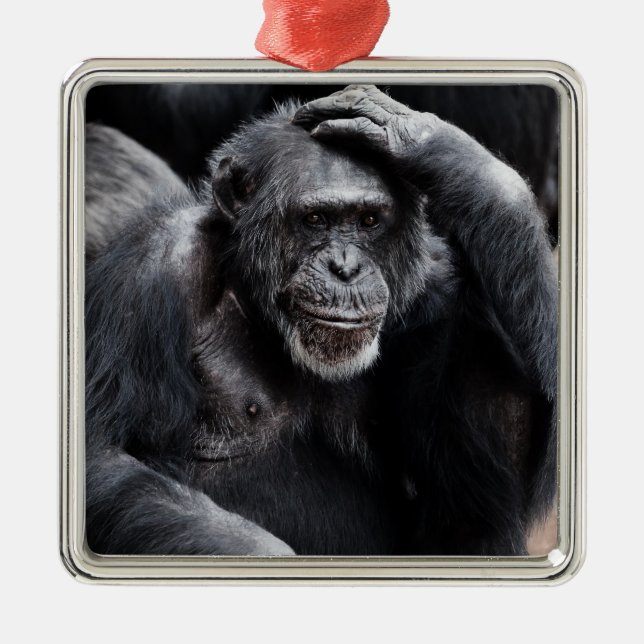 Old Chimpanzee ornament (Front)