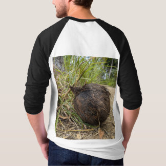 Old coconut T-Shirt
