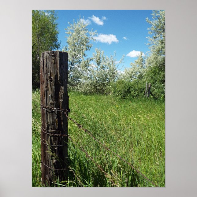 Old Country Fence Post Poster (Front)