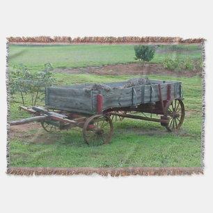 Old Country Wagon on a Blanket