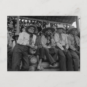 Old Cowboys At Rodeo Vintage Photo  Postcard