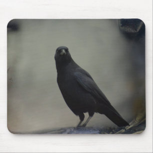 Old Crow Art Mouse Mat