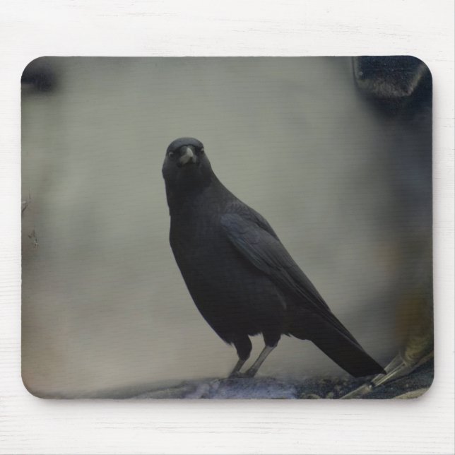 Old Crow Art Mouse Mat (Front)