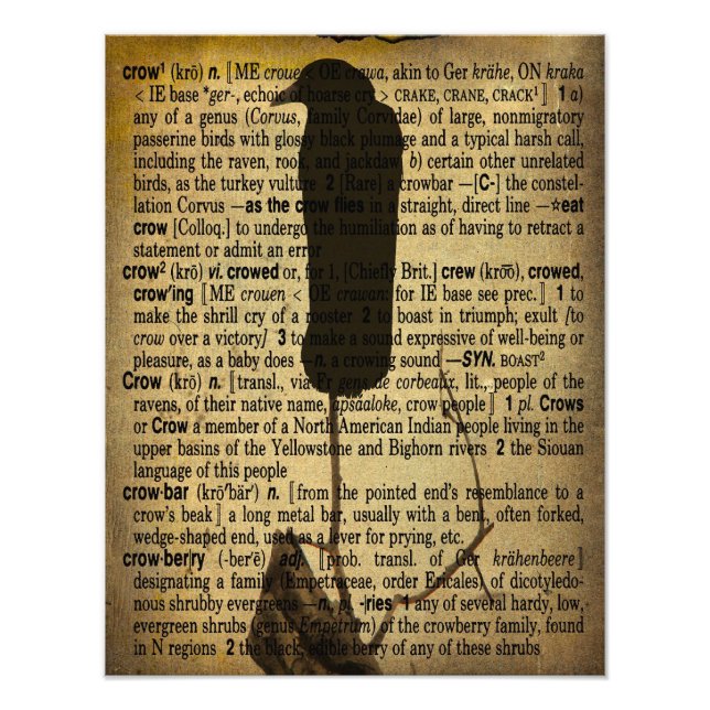 Old Crow Collage  Photo Print (Front)