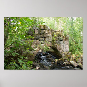 Old destroyed bridge in the forest poster