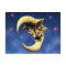 Old Devil Moon postcard