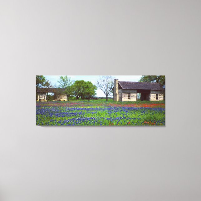 Old Dog Run Cabin in Field of Wildflowers Canvas Print (Front)