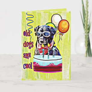 Old Dogs are Cool Happy Birthday Card