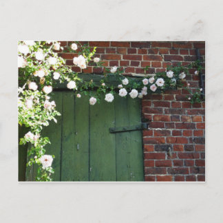 Old door and roses postcard
